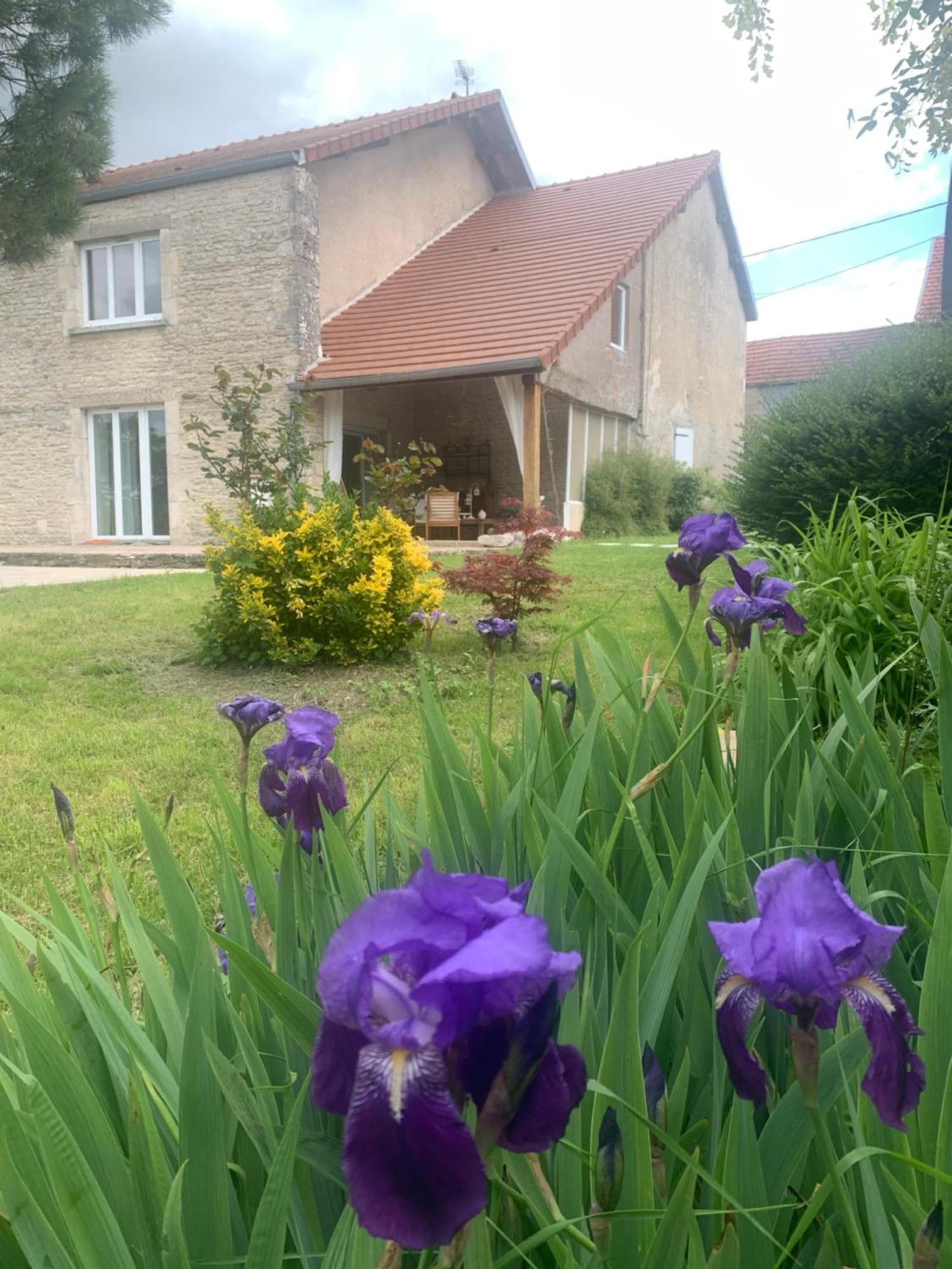 Maison Mard'Or Chambre Sylvae Mardor ภายนอก รูปภาพ